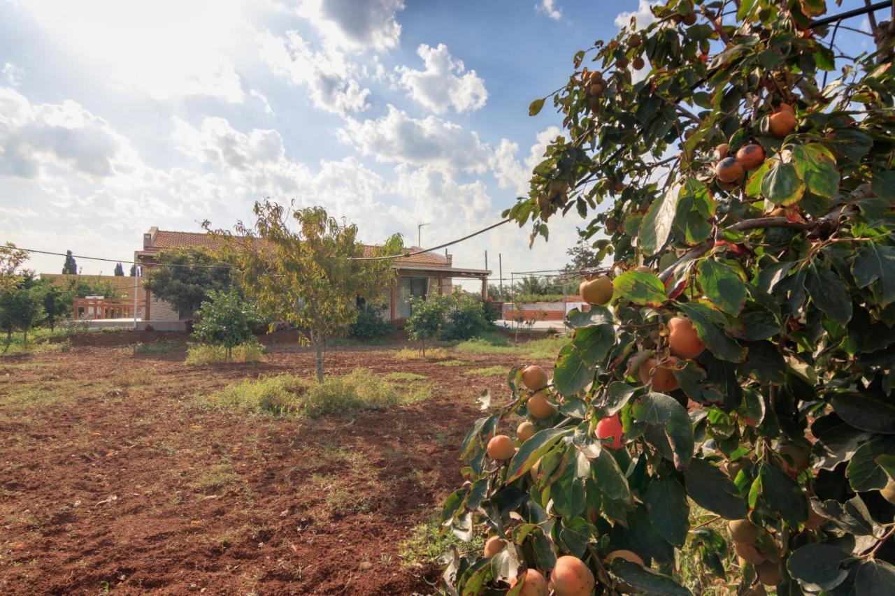 פרבוליה Berryrose Villa מראה חיצוני תמונה